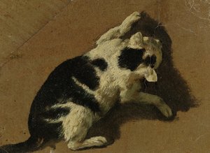 Gato jugando