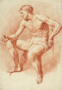 Estudio de un desnudo masculino