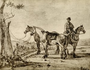 Tres caballos