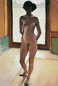 Desnudo a contraluz