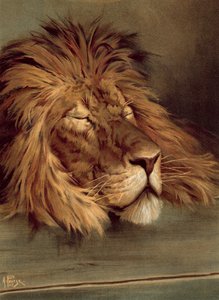 El león británico dormido