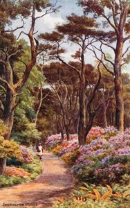 Bosques de Sheringham