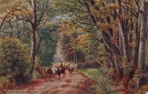 El carril de Tennyson cerca de Haslemere