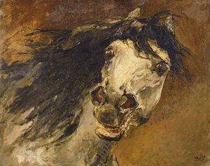 Cabeza de un caballo