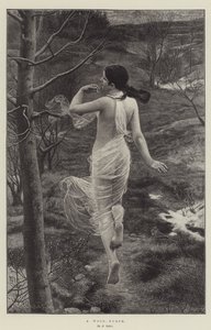 Una Ninfa del Bosque