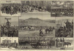 El Estado de Irlanda