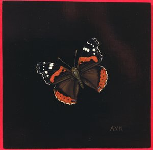 Mariposa almirante rojo, 2001