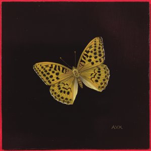 Mariposa fritilaria de plata, 2000