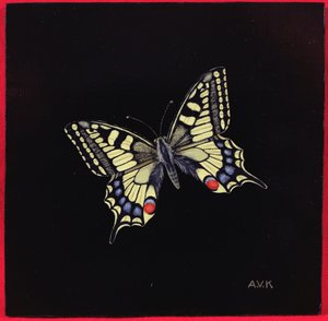 Mariposa macaón, 1999