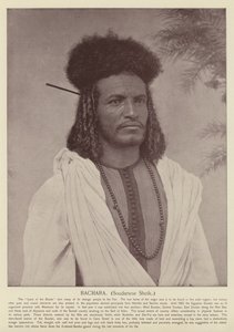 Bachara, jeque sudanés