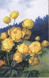 Flor Amarilla