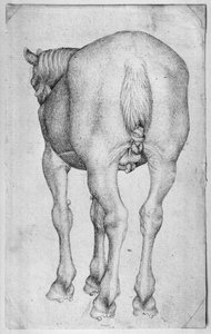 Caballo, del Álbum Vallardi
