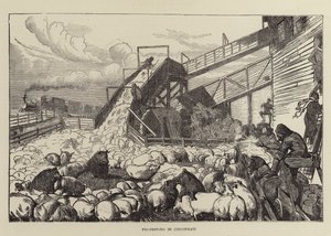 Conducción de cerdos en Cincinnati