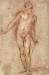 Desnudo masculino de pie, 1637-38