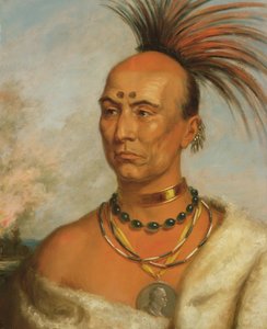 Makataimeshekiakiak (Halcón Negro) c.1853