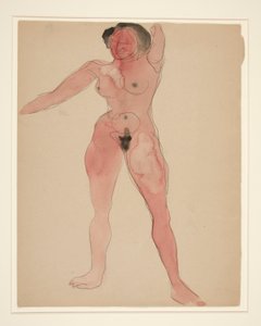 Desnudo femenino
