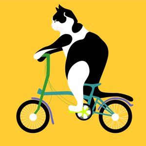 Gato en una bicicleta Brompton