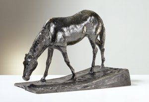 Caballo en el abrevadero