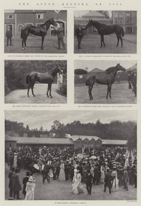 La reunión de Ascot de 1901