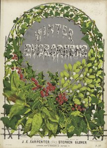 Portada de Siempreverdes de Invierno