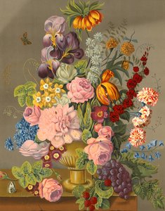 Exhibición floral