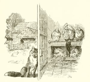 Zorro fuera del gallinero