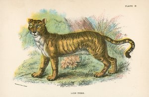 León-Tigre