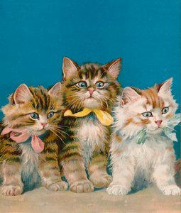 Tres pequeños gatitos