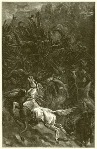 El asno y el león cazando