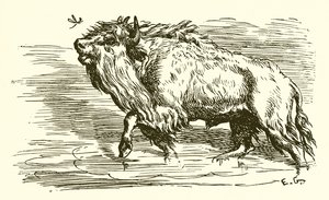 El mosquito y el toro