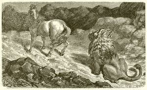 El caballo y el león