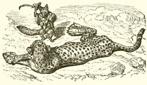 El leopardo y el zorro