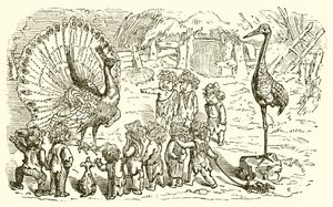 El pavo real y la grulla