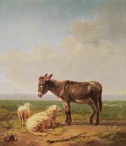 Asno y Ovejas, 1849