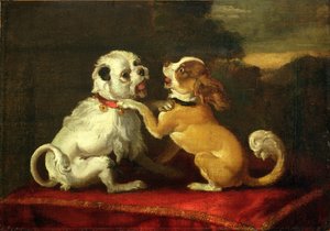 Perros jugando