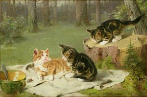 Gatitos jugando