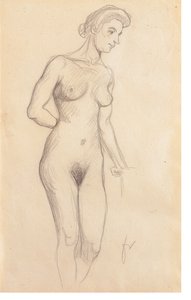 Desnudo