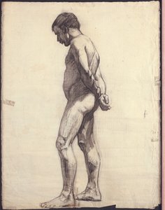 Desnudo masculino de pie