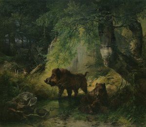 Jabalí y lobo