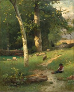 Bajo el Bosque