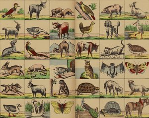 Imágenes de animales y aves