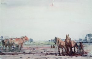 Caballos de arado