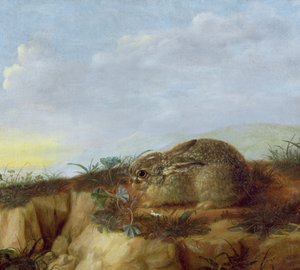 Una Liebre en un Paisaje