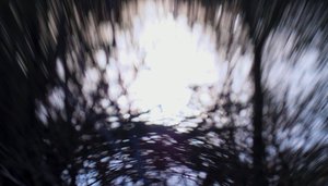 Tapiz de agua III, 2017