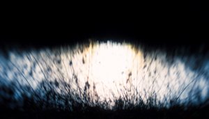 Tapiz de agua IV, 2017