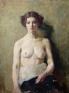 Medio desnudo