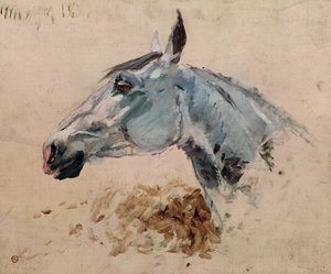 Caballo blanco 