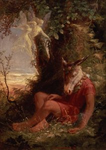 Bottom dormido, 1891