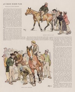 Una Feria de Caballos Irlandesa