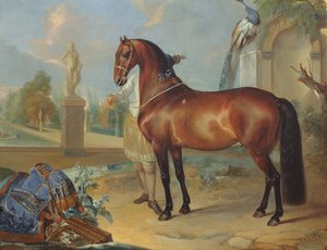 El caballo bayo 